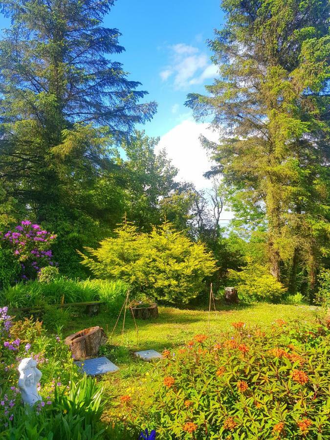 Penzion Leenan View Country House Portsalon Exteriér fotografie